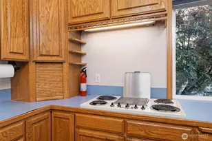 220 SE Sells Dr, Shelton, WA 98584 - Photo 16