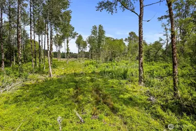 10 Joy Lane #Lot 1, Humptulips, WA 98552 - Photo 8