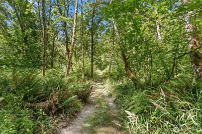 36221 86th Avenue Ct E, Eatonville, WA 98328 - Photo 38