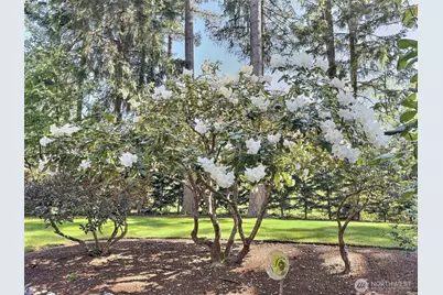 17517 SE 293rd Place, Kent, WA 98042 - Photo 30