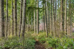 23973 SE 42nd Pl, Sammamish, WA 98029 - Photo 38