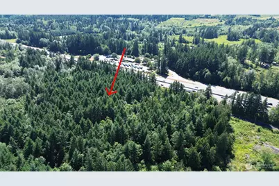 0 Peterson Road SW, Tenino, WA 98589 - Photo 24