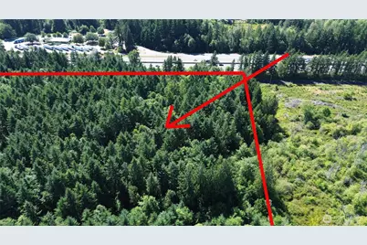 0 Peterson Road SW, Tenino, WA 98589 - Photo 22