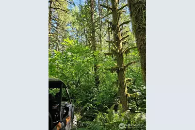 0 Peterson Road SW, Tenino, WA 98589 - Photo 30