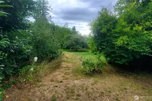 1912 Boundary St, Shelton, WA 98584 - Photo 12