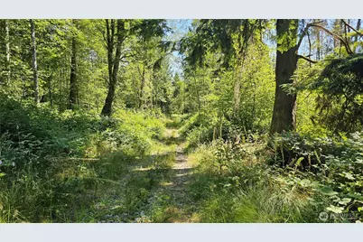 11000 138th Street NE, Arlington, WA 98223 - Photo 2