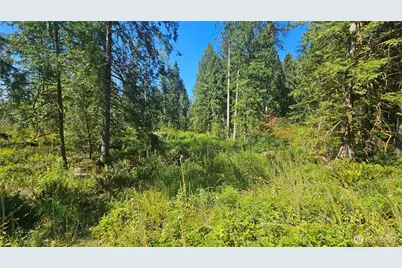 11000 138th Street NE, Arlington, WA 98223 - Photo 10