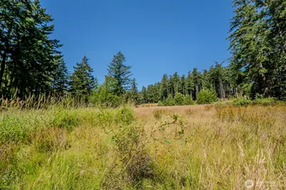 37 Silvermoon Lane, Orcas Island, WA 98280 - Photo 28