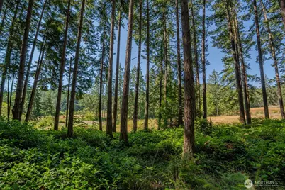 37 Silvermoon Lane, Orcas Island, WA 98280 - Photo 26