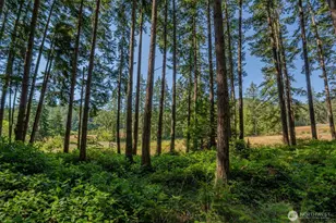 37 Silver Moon Ln, Orcas Island, WA 98280 - Photo 26