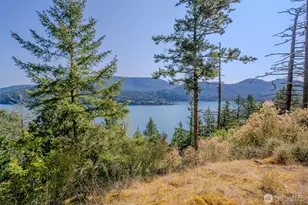 37 Silver Moon Ln, Orcas Island, WA 98280 - Photo 2
