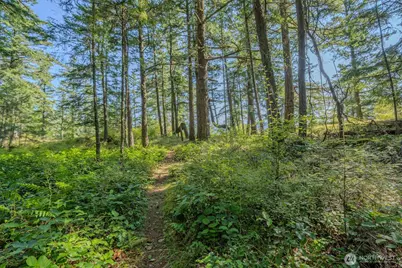 37 Silvermoon Lane, Orcas Island, WA 98280 - Photo 20