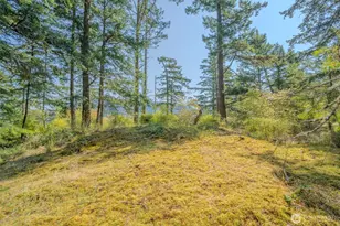 37 Silver Moon Ln, Orcas Island, WA 98280 - Photo 22