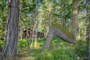 37 Silver Moon Ln, Orcas Island, WA 98280 - Photo 24