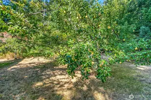 404 Lookout Loop, Orcas Island, WA 98245 - Photo 30