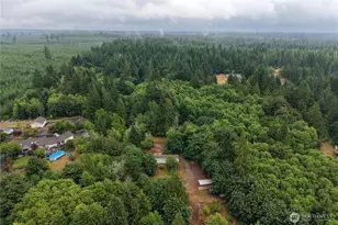 261 E Willow Blue Ln, Shelton, WA 98584 - Photo 38