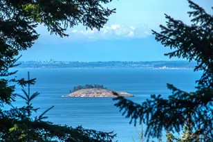 306 Windfall Ln, Orcas Island, WA 98245 - Photo 4