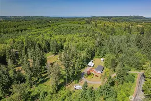 290 Justus Rd, Cinebar, WA 98533 - Photo 28