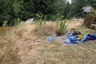 31672 Military Rd S, Auburn, WA 98001 - Photo 24
