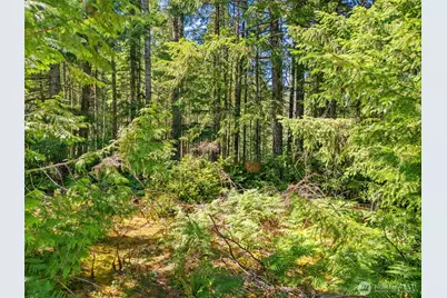 0 Sp1357 E Glenwood Drive, Union, WA 98592 - Photo 1