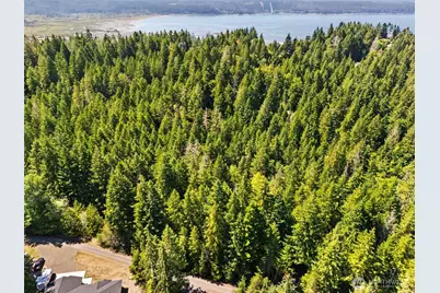 0 Sp1357 E Glenwood Drive, Union, WA 98592 - Photo 4