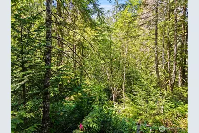 0 Sp1356 E Glenwood Drive, Union, WA 98592 - Photo 2