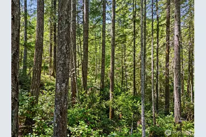 0 Sp1355 E Glenwood Drive, Union, WA 98592 - Photo 4