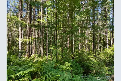 0 Sp1355 E Glenwood Drive, Union, WA 98592 - Photo 2
