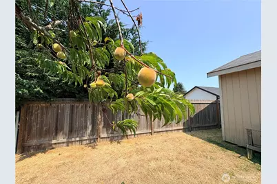 41 Livengood Lane, Sequim, WA 98382 - Photo 30