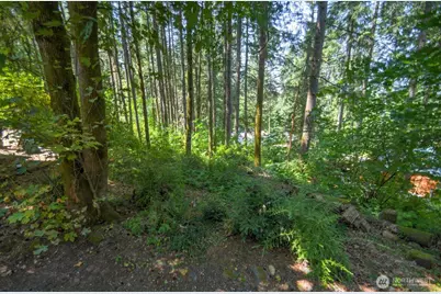 1546 Reservation Road SE #107, Olympia, WA 98513 - Photo 6