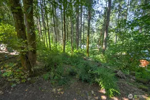 1546 Reservation Road SE, Olympia, WA 98513 - Photo 6
