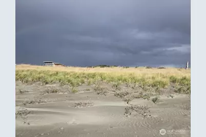 47 Xx State Route 105 S, Grayland, WA 98547 - Photo 4