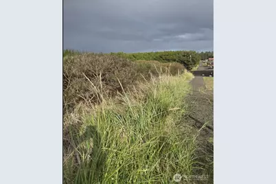 4721 State Route 105 S, Grayland, WA 98547 - Photo 6