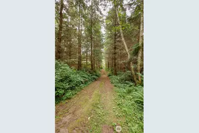 710 Island Ridge Way, Coupeville, WA 98239 - Photo 26