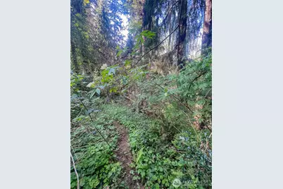 0 Ninth Avenue, Aberdeen, WA 98520 - Photo 2
