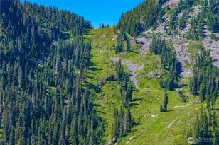 17800 Alpental Access Rd, North Bend, WA 98045 - Photo 30