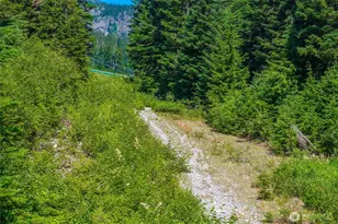17800 Alpental Access Rd, North Bend, WA 98045 - Photo 34
