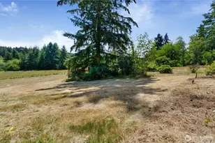8811 83rd Ave SE, Olympia, WA 98513 - Photo 34