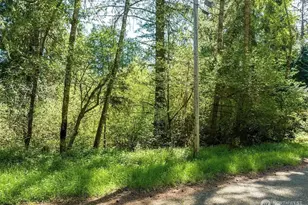 10515 Edgewood Dr, Anderson Island, WA 98303 - Photo 1
