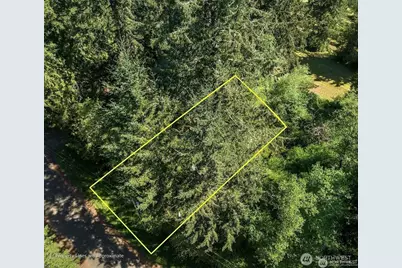 10515 Edgewood Drive, Anderson Island, WA 98303 - Photo 4