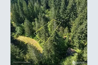 10515 Edgewood Drive, Anderson Island, WA 98303 - Photo 6