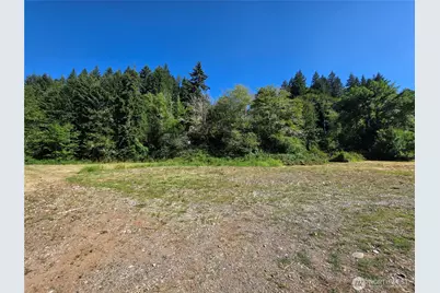 0 Gibson Creek Road, Oakville, WA 98568 - Photo 22