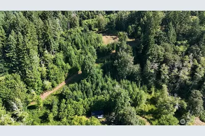 0 Gibson Creek Road, Oakville, WA 98568 - Photo 14