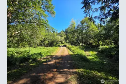 0 Gibson Creek Road, Oakville, WA 98568 - Photo 6