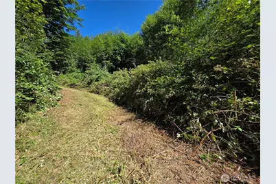 0 Gibson Creek Road, Oakville, WA 98568 - Photo 24