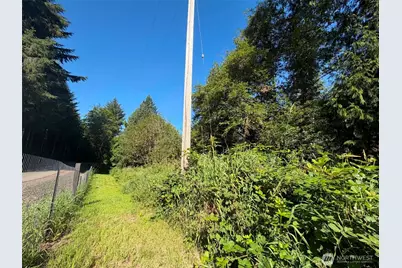 0 Gibson Creek Road, Oakville, WA 98568 - Photo 8