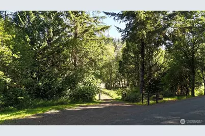 0 Gibson Creek Road, Oakville, WA 98568 - Photo 1