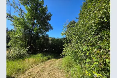 0 Gibson Creek Road, Oakville, WA 98568 - Photo 34