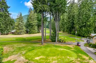 20 N Lakefront Loop, Hoodsport, WA 98548 - Photo 38