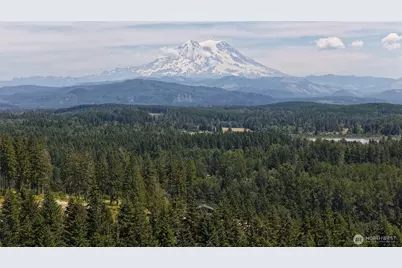 38922 Madrona Drive E, Roy, WA 98580 - Photo 38